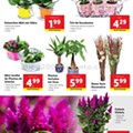 Antevisão Folheto LIDL Promoções de 7 a 12 julho d28.jpg